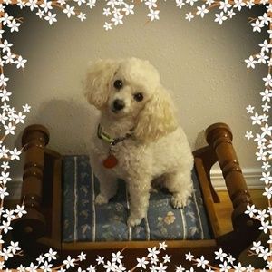 Meet your Posher, Manuela randy